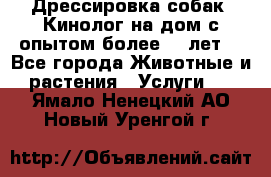 Дрессировка собак (Кинолог на дом с опытом более 10 лет) - Все города Животные и растения » Услуги   . Ямало-Ненецкий АО,Новый Уренгой г.